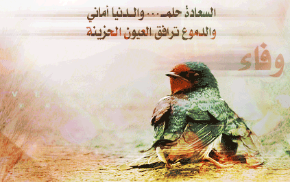 sobhan allah